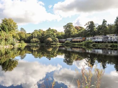 A lake surrounded by trees with holiday cabins on stilts along the shoreline at Treetops in Caernarfon