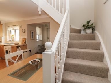 A kitchen and carpeted staircase with a white railing and a plant at Alberts Den in Falmouth