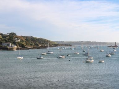 A coastal scene with multiple sailboats anchored in the water near green hills and buildings at Albert's Den in Falmouth
