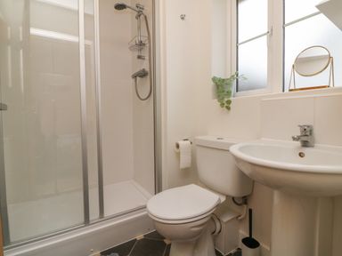 A bathroom with a shower enclosure toilet sink and a window at Reubens Cottage in Fremington Devon