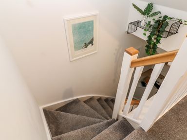 A carpeted staircase with a wooden handrail and a framed picture on the wall and a wall-mounted shelf with plants at 20 Bishops Way in Falmouth