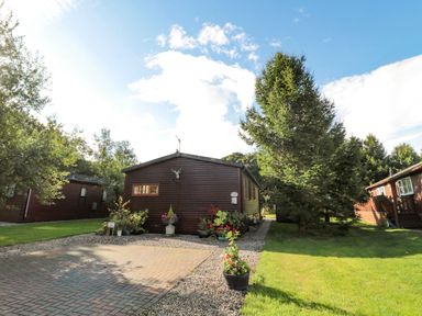 A wooden cabin with plants and trees around it at Evergreen Lodge Felmoor Holiday Park near Felton