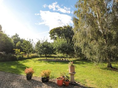 A garden with potted plants on gravel and trees with a seating area at Evergreen Lodge in Felmoor Holiday Park near Felton