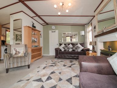 A living room with striped armchair sofa wooden cabinet rug and fireplace at Evergreen Lodge Felmoor Holiday Park near Felton