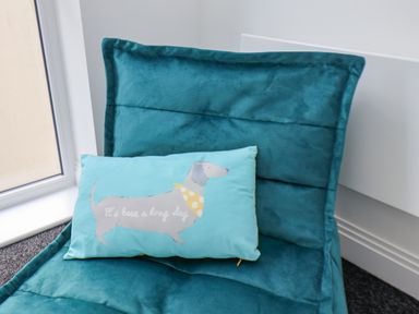 A blue dog print pillow on a teal cushioned chair next to a window at The Penthouse in Scarborough