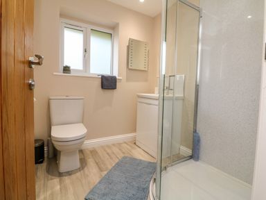 A bathroom with a toilet, shower, sink cabinet, window, and blue rug at Spicery in Tedburn St Mary