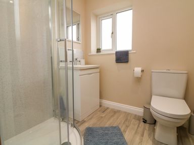 A bathroom with a shower enclosure sink with a cabinet toilet and a window at Spicery in Tedburn St Mary