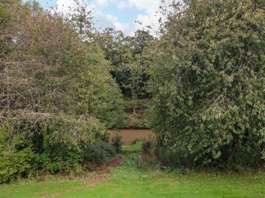A view of a small body of water surrounded by dense trees and grass at Spicery in Tedburn St Mary