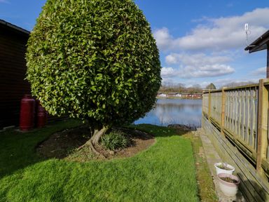 A garden with a rounded tree near a wooden fence and a lake in the background at Lakeside 20 in Warton near Carnforth