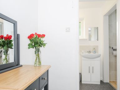 A wooden dresser with a mirror and a vase of red flowers next to a bathroom sink at The Old Forge in Trerulefoot