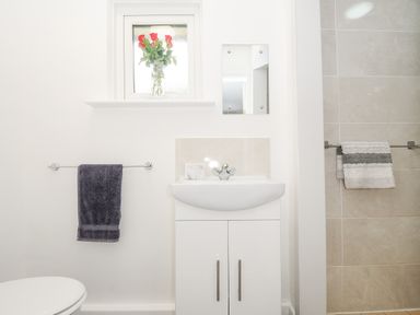 A bathroom sink with a mirror and a window with a vase of red flowers above it with towels hanging on racks at The Old Forge in Trerulefoot