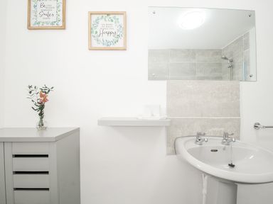 A bathroom sink with a mirror above and a cabinet with flowers in a vase on it at The Old Forge in Trerulefoot