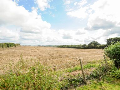 An open field with harvested crops and a wire fence bordered by bushes at The Old Forge in Trerulefoot