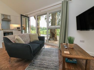 A living room with a black sofa two pillows a wooden coffee table with a plant and tv on the wall at Fern Bydown near Barnstaple