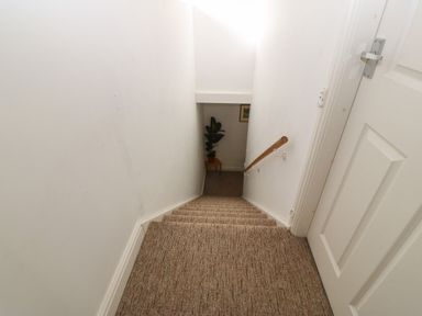 A carpeted stairway with white walls and a wooden handrail next to a white door leading down to a small table with a plant at The Bell Apartment in Cemaes Bay