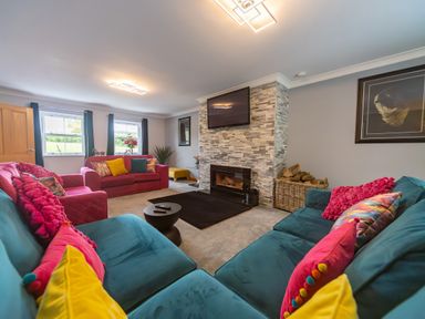 A living room with sofas and a fireplace at Parc Y Deri in Rhos-y-garth near Aberystwyth