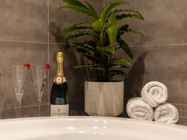 A bathroom corner with a potted plant rolled towels champagne bottle and two glasses with strawberries at Parc Y Deri Rhos-y-garth near Aberystwyth