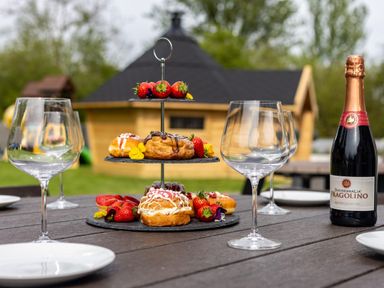 A table set outdoors with a tiered tray of pastries and strawberries glasses and a bottle of sparkling wine in the garden at Parc Y Deri Rhos-y-garth near Aberystwyth