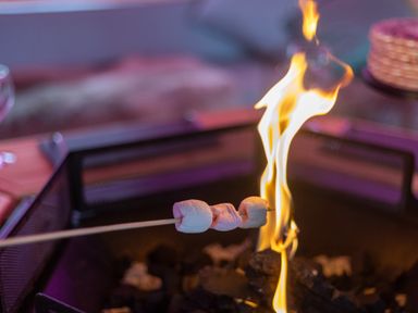 Marshmallows on a stick roasting over a fire pit at Parc Y Deri in Rhos-y-garth near Aberystwyth