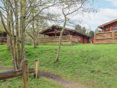 Wooden cabins with fenced porches on a grassy hill surrounded by trees at 24 Lakeside Drive in Felton