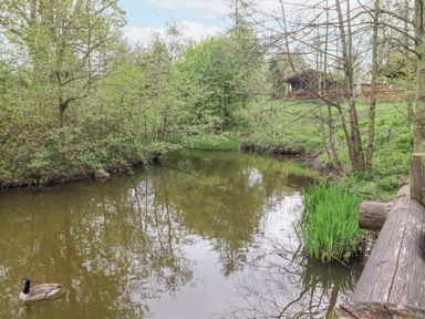 A small pond with trees and grass around and a wooden fence and a gazebo in the background at 24 Lakeside Drive in Felton