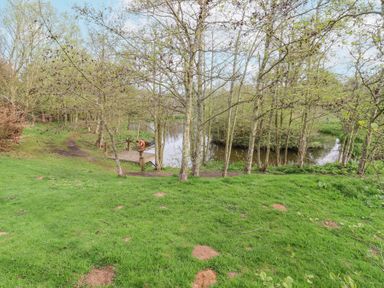 A grassy area with trees near a small wooden dock on a pond at 24 Lakeside Drive in Felton