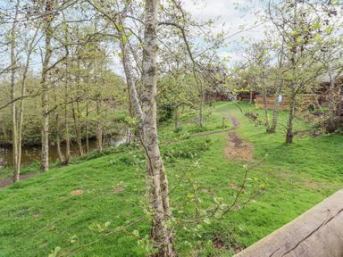A grassy area with trees near a river and wooden cabins at 24 Lakeside Drive in Felton