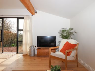 A room with a wooden chair with a white throw and orange cushion a television on a wooden chest a metal container and a plant near a glass door with white curtains at Church Farm Dairy Cadbury near Thorverton