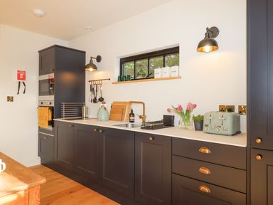 A kitchen with dark cabinets wooden floor toaster and flowers on the counter at Church Farm Dairy Cadbury near Thorverton