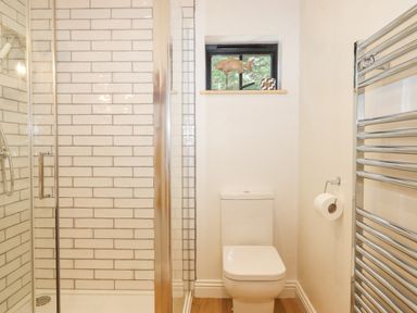 A bathroom with a shower enclosure toilet window with decorations and a heated towel rail at Church Farm Dairy in Cadbury near Thorverton