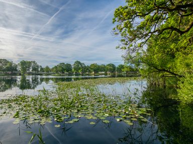 A lake with lilypads and trees at Swan in Shobdon