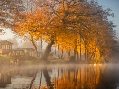A lake with swans and autumn trees near cabins at Swan in Shobdon