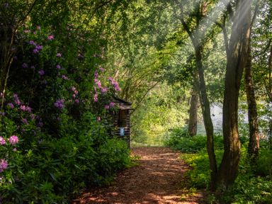 A pathway surrounded by flowers and trees near water at Swan in Shobdon
