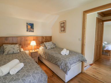 A bedroom with two beds and a bedside lamp at Felin Gogoyan Tregaron
