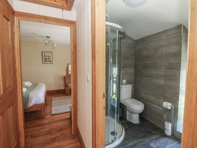 A bathroom with a shower and toilet at Felin Gogoyan in Tregaron