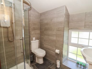 A bathroom with a shower, toilet, and sink at Felin Gogoyan in Tregaron