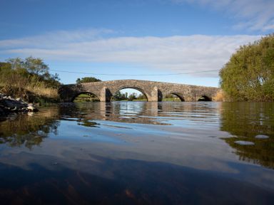 A bridge over water with trees and a blue sky at Felin Gogoyan Tregaron