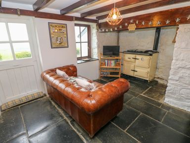 A sitting room with a brown leather couch a cream stove and a small TV on a wooden stand at Bryn Nante in Morvil near Maenclochog