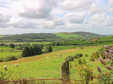 A countryside landscape with green fields sheep and hills at Bryn Nante in Morvil near Maenclochog