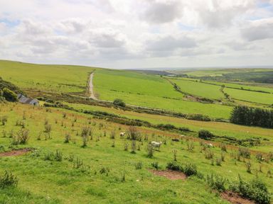 A grassy hillside with small bushes and sheep near a house and a narrow road at Bryn Nante in Morvil near Maenclochog