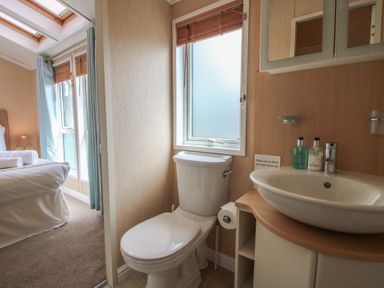 A bathroom with a toilet and sink with toiletries at Daisy in Eardisland