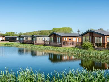 Cabins near a lake with surrounding plants at Daisy in Eardisland