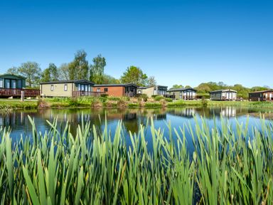 A pond with cabins and trees at Daisy in Eardisland