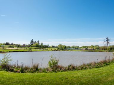 A pond surrounded by grass and trees at Daisy in Eardisland