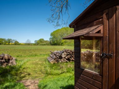 A wooden cabin near logs and a grassy pathway at Daisy in Eardisland