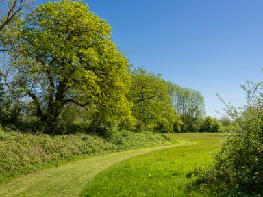 A pathway surrounded by trees and grass at Daisy in Eardisland