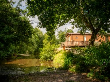 A cabin by a river surrounded by trees at Daisy in Eardisland