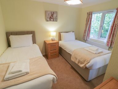 A bedroom with two single beds a wooden bedside table with a lamp and a window with curtains at Daffodil in Eardisland