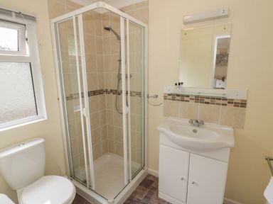 A bathroom with a shower enclosure toilet and sink with a mirror at Daffodil in Eardisland
