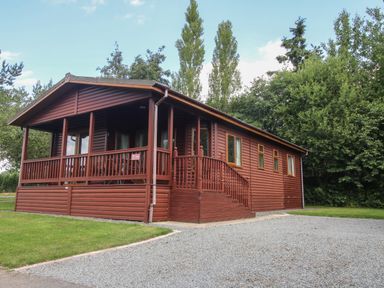 A wooden cabin with a porch and stairs surrounded by trees at Daffodil in Eardisland